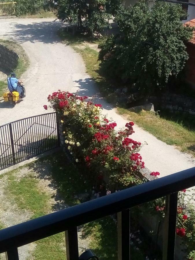 Sobe Seka Otel Golubac Dış mekan fotoğraf